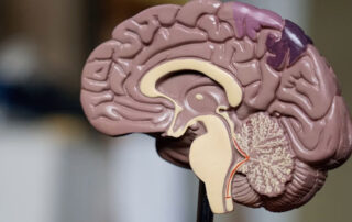 Seguros de salud mental, un imprescindible hoy en día - MyCAXA