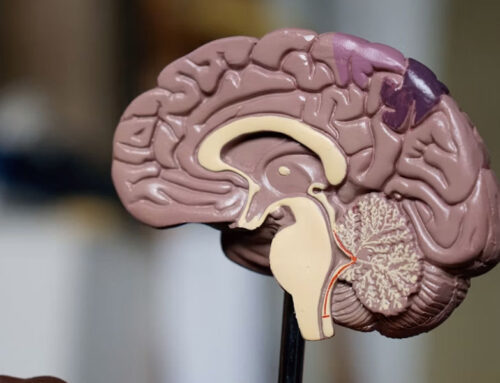 Seguros de salud mental, un imprescindible hoy en día