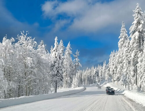 Conducir con nieve, consejos prácticos para el invierno